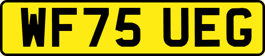 WF75UEG