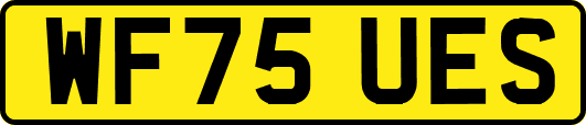 WF75UES