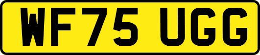 WF75UGG