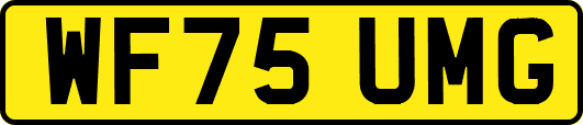 WF75UMG