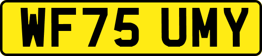 WF75UMY