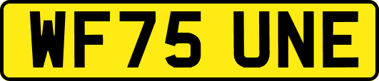 WF75UNE