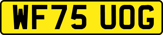 WF75UOG