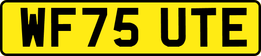WF75UTE