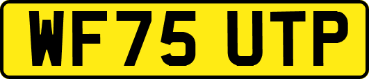 WF75UTP