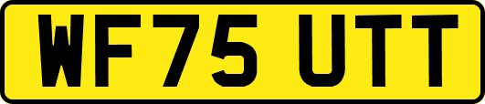 WF75UTT