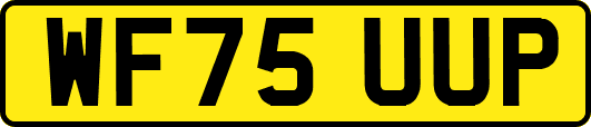 WF75UUP