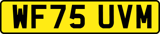 WF75UVM
