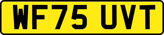 WF75UVT
