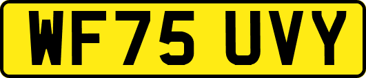 WF75UVY