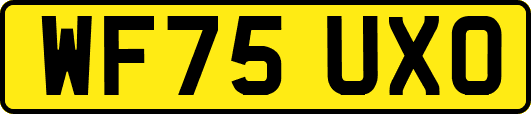 WF75UXO