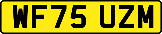 WF75UZM