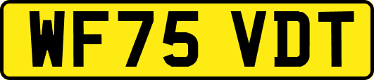 WF75VDT