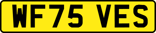 WF75VES