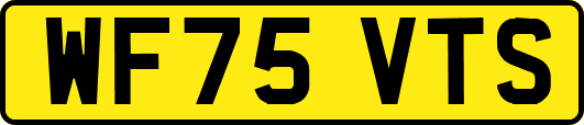 WF75VTS