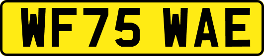 WF75WAE