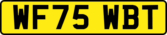 WF75WBT