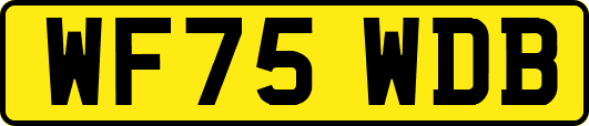 WF75WDB