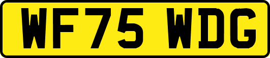 WF75WDG