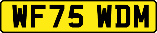 WF75WDM