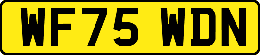 WF75WDN