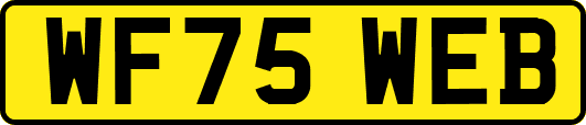 WF75WEB