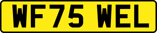 WF75WEL