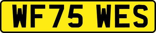 WF75WES
