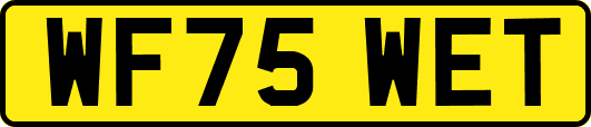 WF75WET