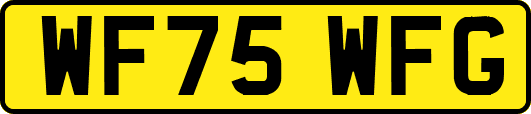 WF75WFG