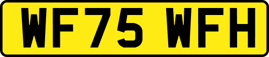 WF75WFH