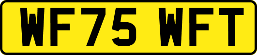 WF75WFT