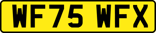 WF75WFX