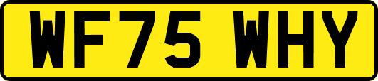 WF75WHY
