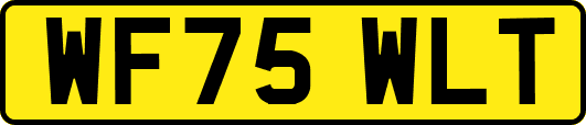 WF75WLT