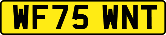 WF75WNT