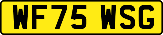 WF75WSG