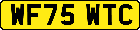 WF75WTC