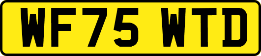 WF75WTD