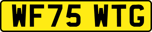 WF75WTG