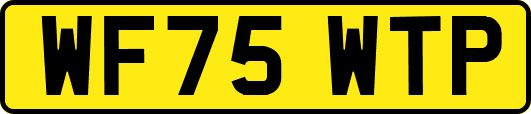 WF75WTP