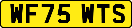 WF75WTS