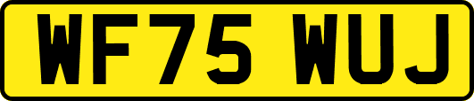 WF75WUJ