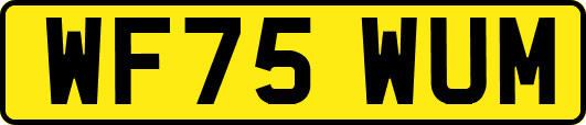 WF75WUM