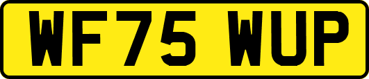 WF75WUP