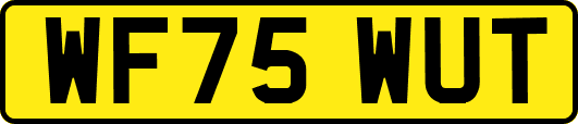 WF75WUT