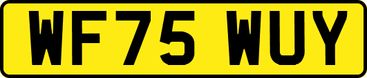 WF75WUY