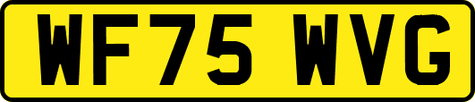 WF75WVG