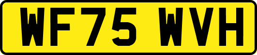 WF75WVH