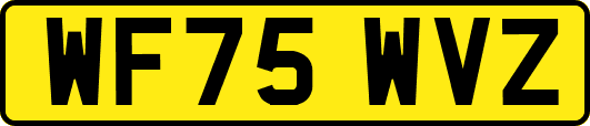 WF75WVZ